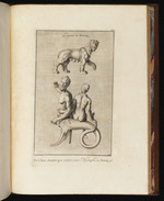 Ein Leopard und eine auf dem Rücken eines Meeresgottes reitende Nymphe