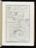 Architektonische Details des zweiten Geschosses des Innenhofes des Palazzo Farnese