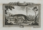 Druckermarke des Petronio dalla Volpe mit einem Wolf vor Bologna