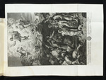 Transfiguration
