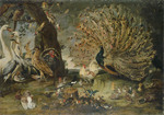 Eine Versammlung von Vögeln (Die Fabel vom Pfau und der Dohle)