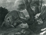 Der überraschte Fuchs