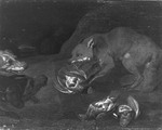 Fuchs mit geraubten Vögeln, von Hunden bedroht (Gegenstück zu GK 1126)