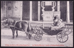 Monsieur Joseph et Mademoiselle Héléna