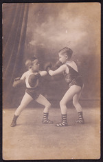 Zwei Boxer