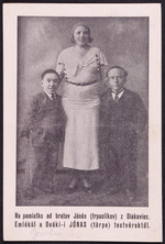 Die Jonas Brüder