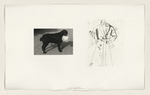 Photographs & Etchings, Blatt aus der Reihe