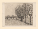 Holländische Felder mit Kopfweiden und Bachlauf