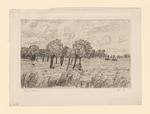 Holländische Landschaft mit Kopfweiden und einigen Häusern