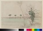 Südliche Landschaft mit vier Pinien