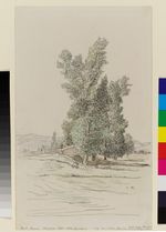 Türkische Landschaft mit Eselreiter
