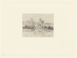 Frühlingslandschaft bei Hyères