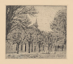 Rathaus hinter Bäumen und dem Brunnen am Marktplatz von St. Anna