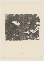 Irruptions, Blatt 12 der Mappe "L