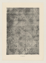 Dispersion, Blatt 15 der Mappe "L